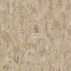 Линолеум Tarkett Iq Granit Safe T BEIGE 0702 фото 1 | FLOORDEALER